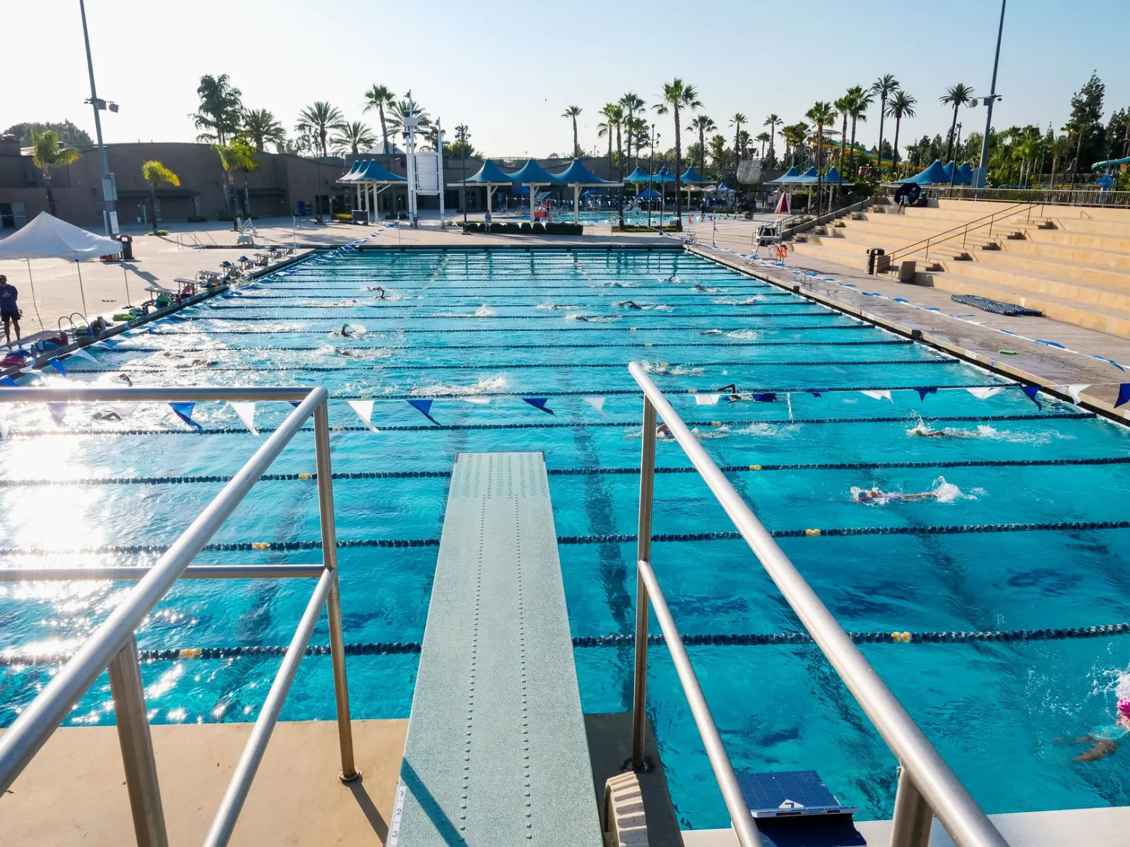 A diving board with a view of a lively swimming pool during a sunny day with multiple swimmers.